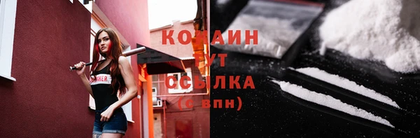 винт Гусиноозёрск