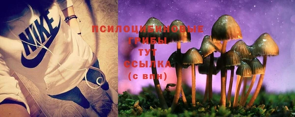 винт Гусиноозёрск