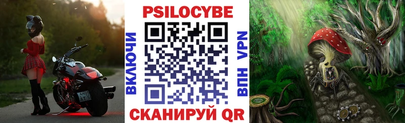 маркетплейс какой сайт  Озёры  Галлюциногенные грибы мухоморы 